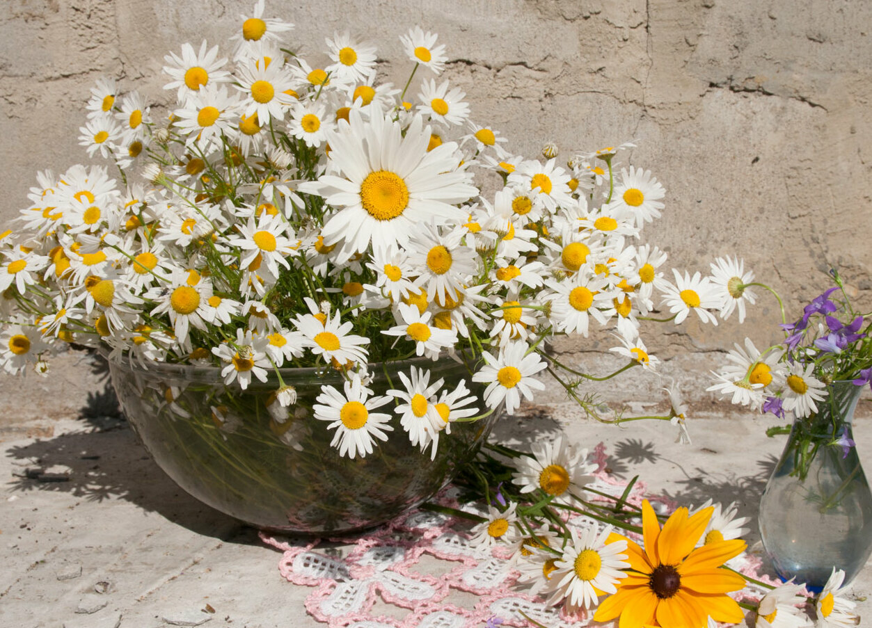 <span style="font-weight: bold;">
						Замена вывесок с английского языка на Русский</span>