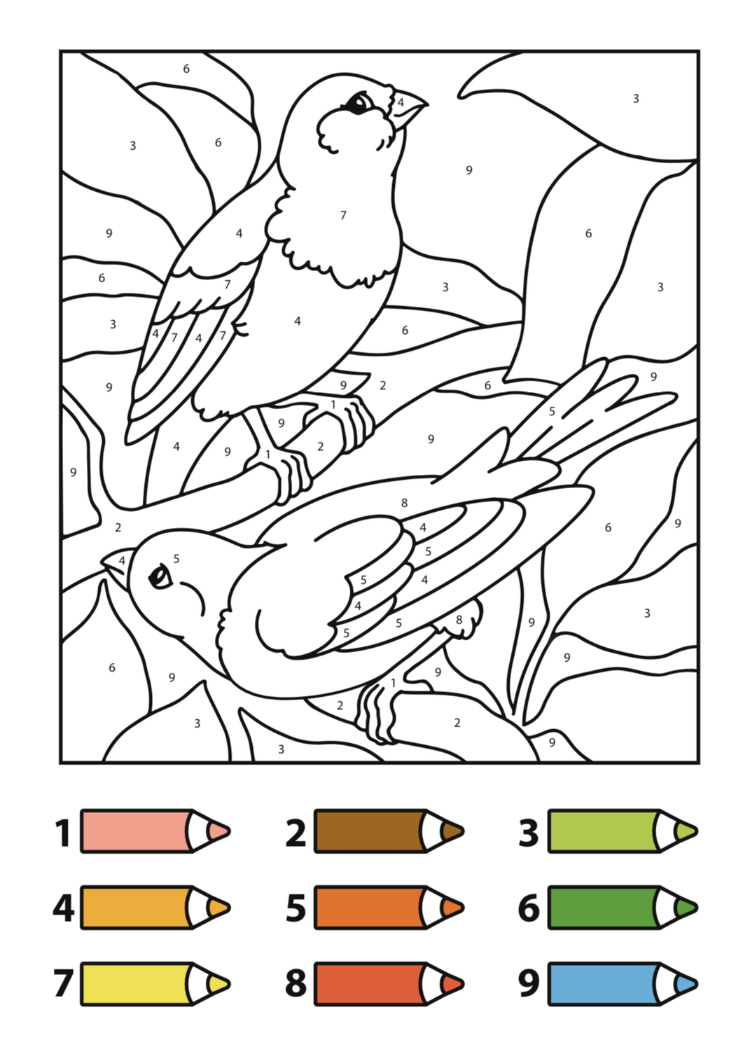 Раскраски с птицами с попугаями купить дешево 